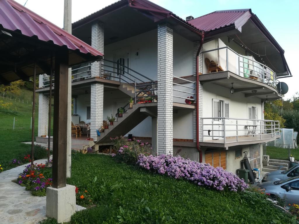 Apartment Mitric Pluzine Exterior photo